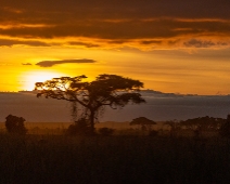 amboseli Amboseli National Park, Kenya
