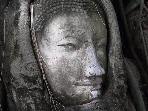 Ayutthaya