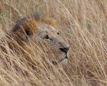 Nairobi National Park, Kenya