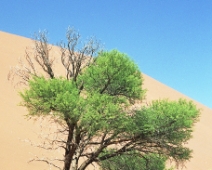 namibia_012 Sossusvlei, Namib