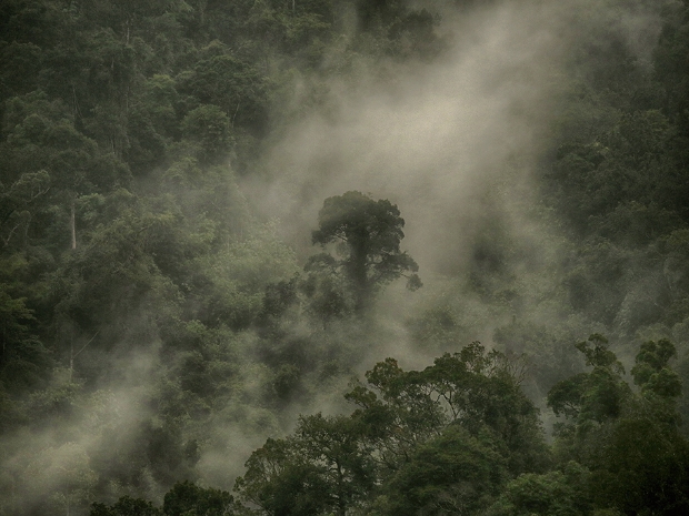 Khao Sok National Park