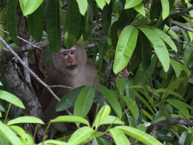 Khao Yai National Park