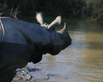 chitwan_009