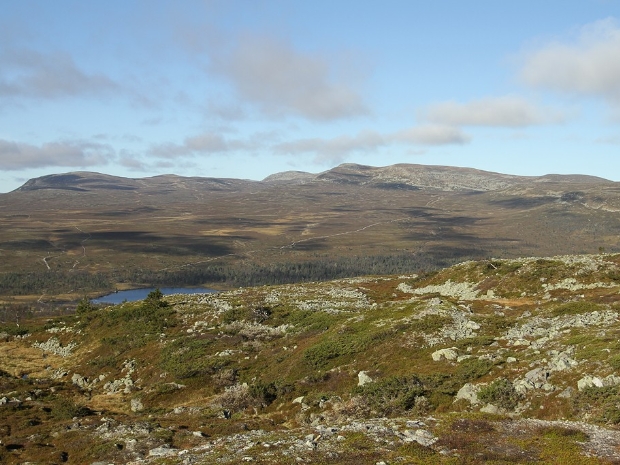 Långfjällets Nature Reserve