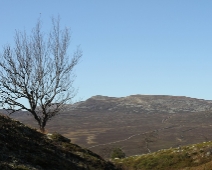 langfjellet_nr_03