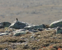 langfjellet_nr_10