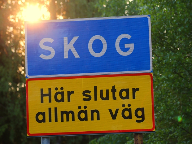 Skog