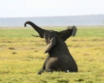 Amboseli National Park, Kenya