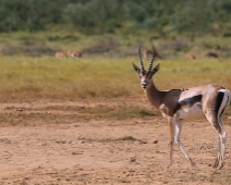 AmboseliNP_009