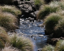 bale_019 Bäck i Bale Mountains National Park.