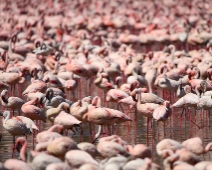 Lake Bogoria National Reserve, Kenya