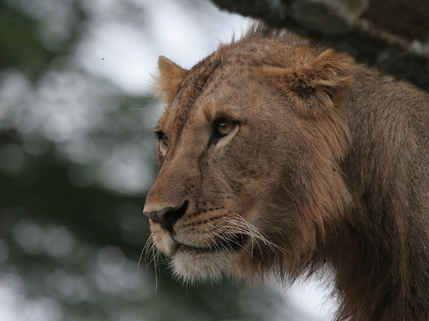 Lake Nakuru National Park