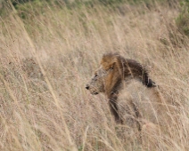 NairobiNP_002 Nairobi National Park