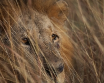 NairobiNP_003 Nairobi National Park