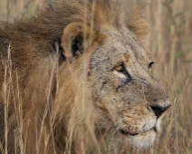 NairobiNP_004 Nairobi National Park