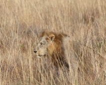 NairobiNP_005 Nairobi National Park