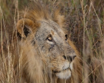 NairobiNP_007 Nairobi National Park