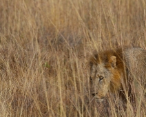 NairobiNP_009 Nairobi National Park