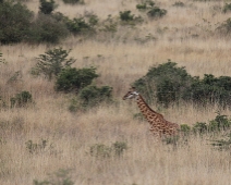 NairobiNP_012 Nairobi National Park