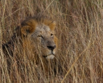 NairobiNP_017 Nairobi National Park