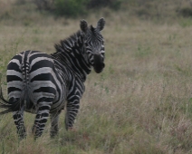 Nechisar National Park, Ethiopia