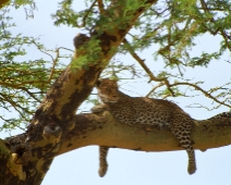 Serengeti National Park