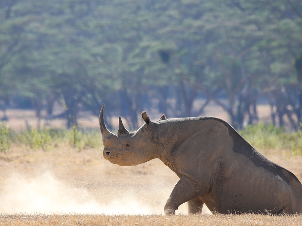 Solio Game Reserve