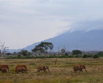 Tsavo East National Park, Kenya