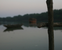 Bhitarkanika National Park, India