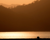 corbett069 Jim Corbett National Park - Elefant