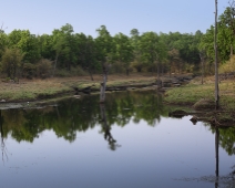 Khana_03 Kanha National Park