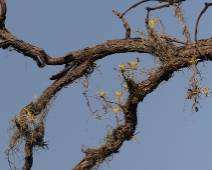 Khana_02 Kanha National Park