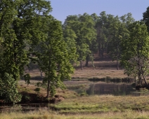 khana_01 Kanha National Park