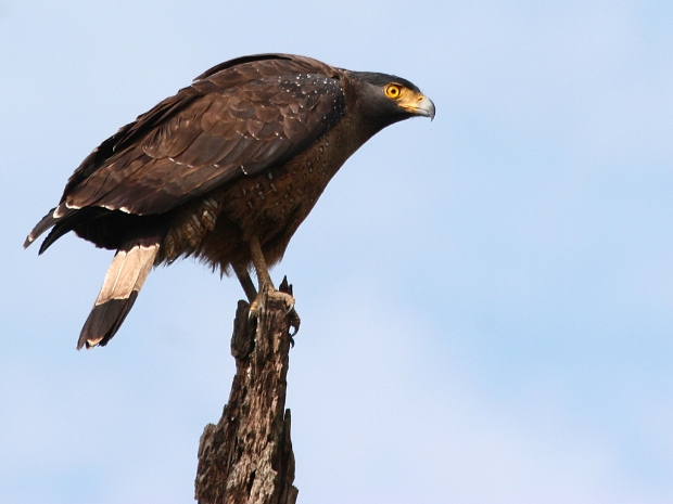 Rajaji National Park