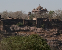 ranthambore_02