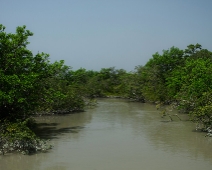 Sundarbans National Park, India