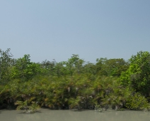 Sunderbans041