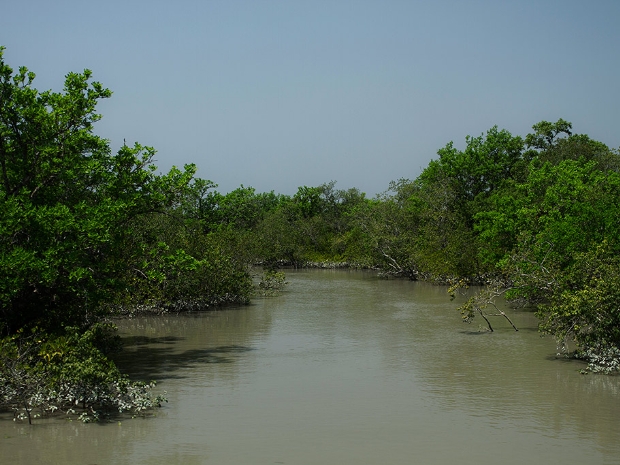 Sundarbans National Park