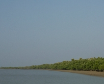 Sunderbans042