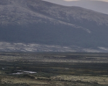 dovre_020 Dovrefjell-Sunndalsfjella National Park