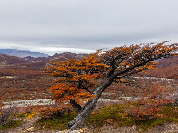 Parque Nacional Los Glaciares