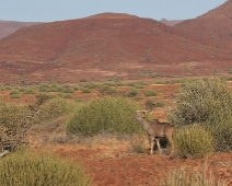 Damaraland, Namibia