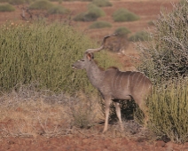 damaraland_003