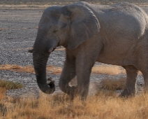 etosha_06