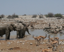 etosha_18