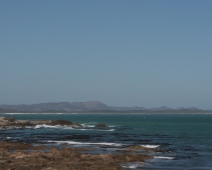 shark_001 Gansbaai