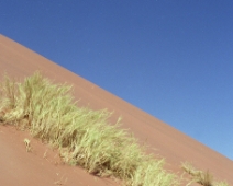 namibia_013 Sossusvlei, Namib