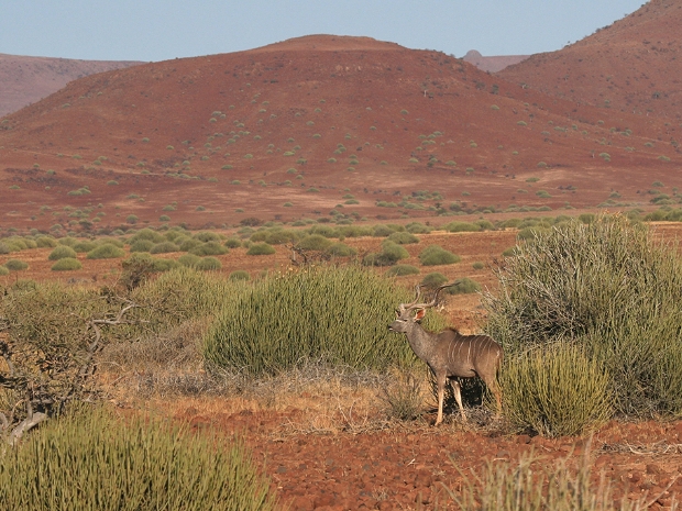 Damaraland Namibia