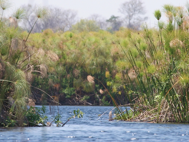 Okavango Delta Botswana