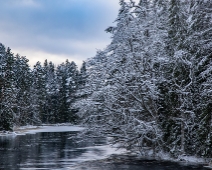 084_dalalven Färnebofjärdens nationalpark - Dalälven